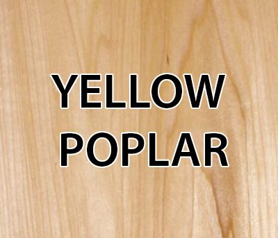 Yellow Poplar